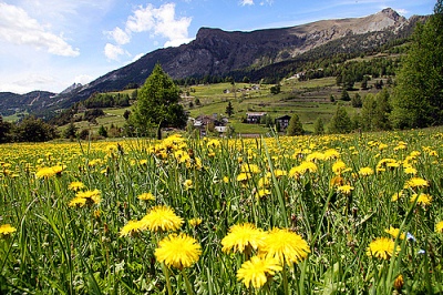 valle_aosta_italia.jpg